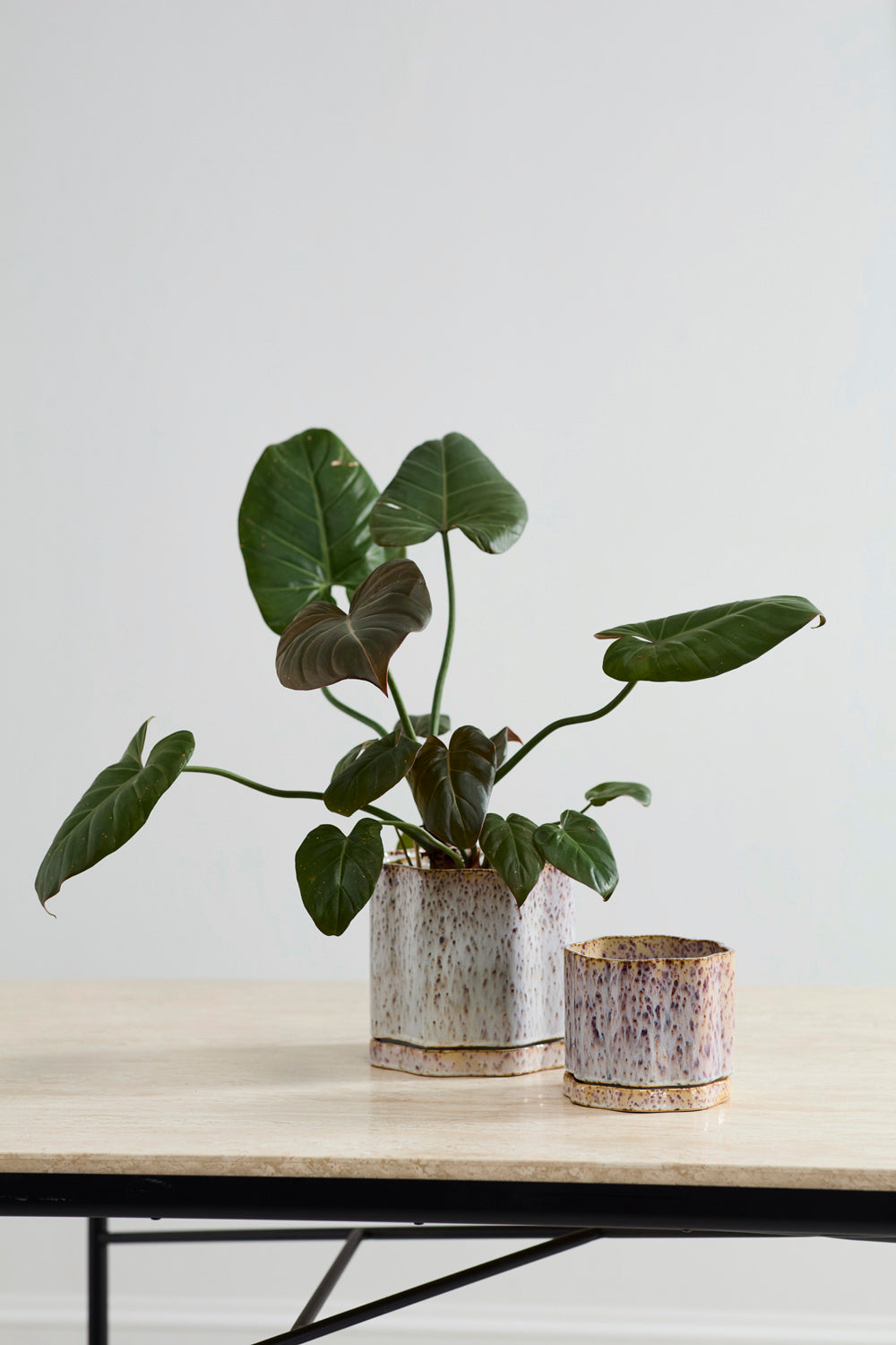 Avenell Pot Set of 2 By Accent Decor | Planters, Troughs & Cachepots | Modishstore - 4
