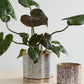 Avenell Pot Set of 2 By Accent Decor | Planters, Troughs & Cachepots | Modishstore - 3