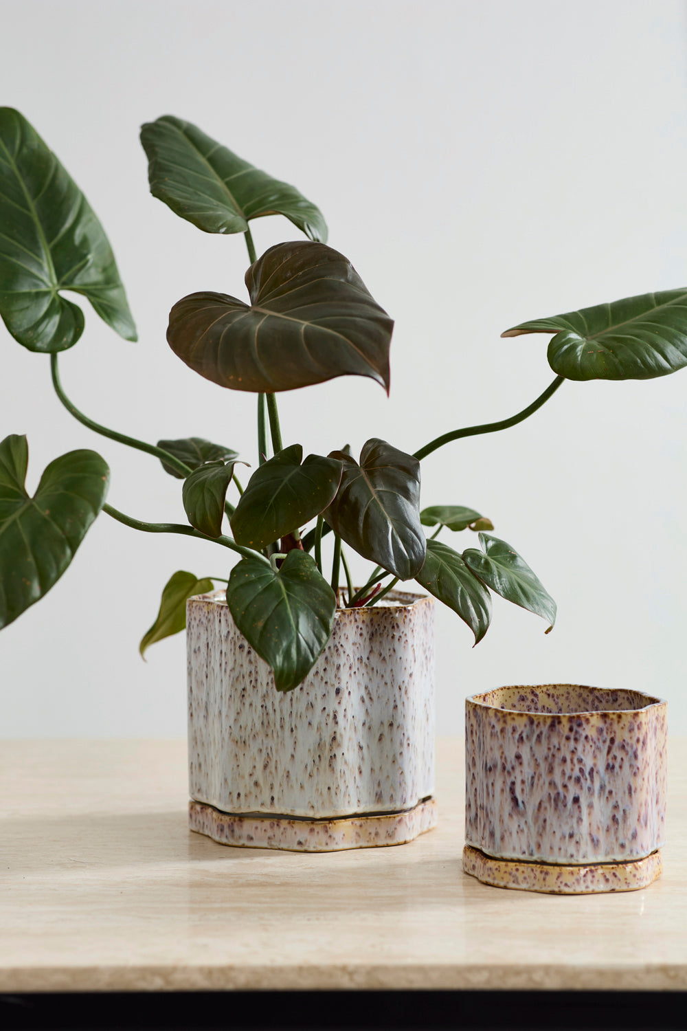 Avenell Pot Set of 2 By Accent Decor | Planters, Troughs & Cachepots | Modishstore - 3
