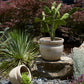 Balos Planter Set of 2 By Accent DŽcor