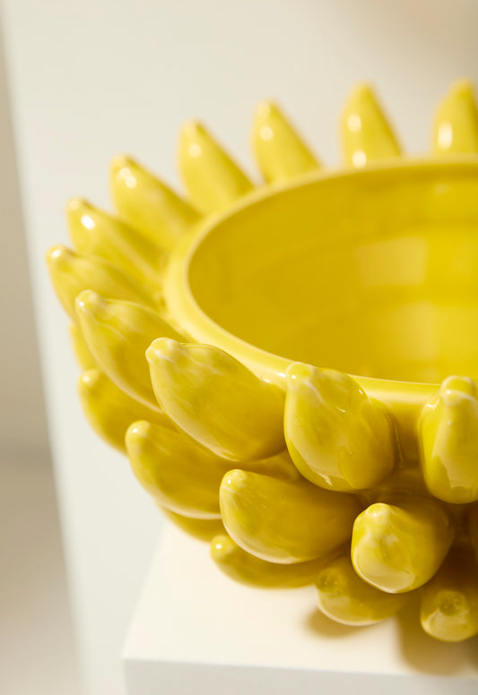 Banana Bowl By Accent Decor | Decorative Bowls | Modishstore - 1