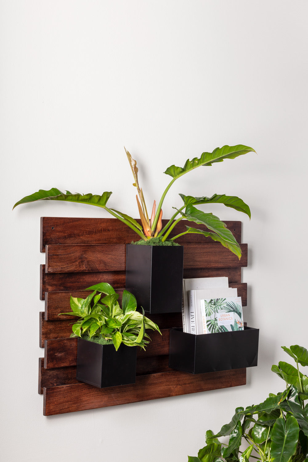 Barisan Wall Planter By Accent Decor | Planters, Troughs & Cachepots | Modishstore - 2