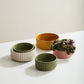 Beam Bowl Set of 2 By Accent Decor | Decorative Bowls | Modishstore - 3