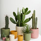 Beam Pot By Accent Decor | Planters, Troughs & Cachepots | Modishstore - 1