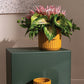 Beam Pot By Accent Decor | Planters, Troughs & Cachepots | Modishstore - 3