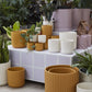 Beam Pot By Accent Decor | Planters, Troughs & Cachepots | Modishstore - 4