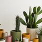 Beam Pot By Accent Decor | Planters, Troughs & Cachepots | Modishstore - 5