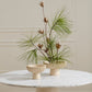 Belden Footed Bowl Set of 2 By Accent Decor | Decorative Bowls | Modishstore - 3