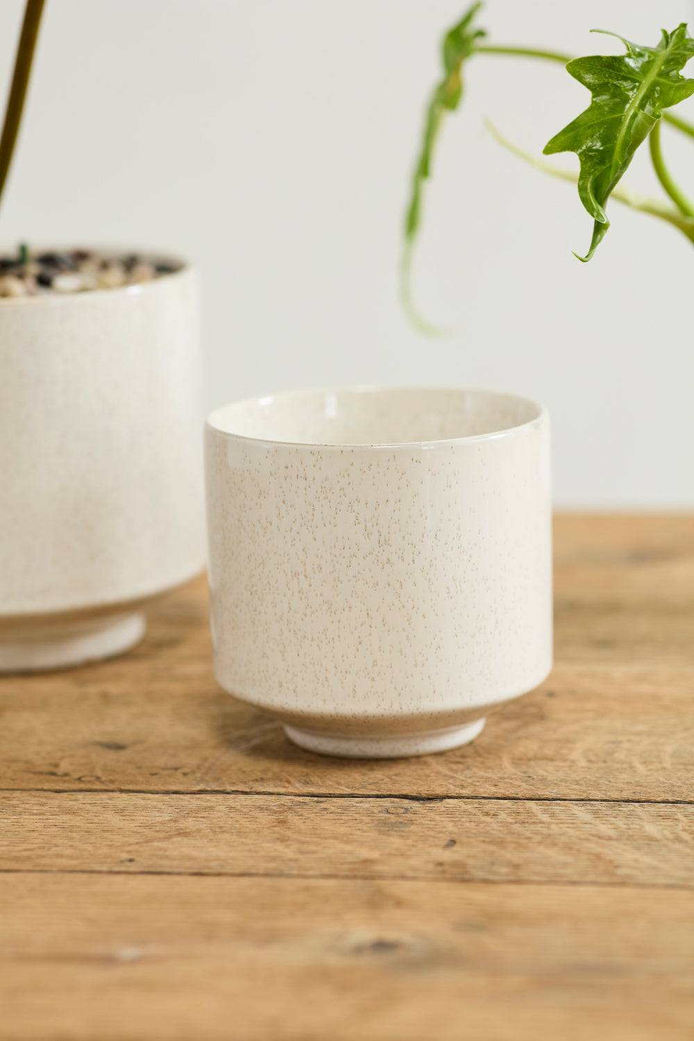 Bello Pot Set of 8 By Accent Decor | Planters, Troughs & Cachepots | Modishstore - 1