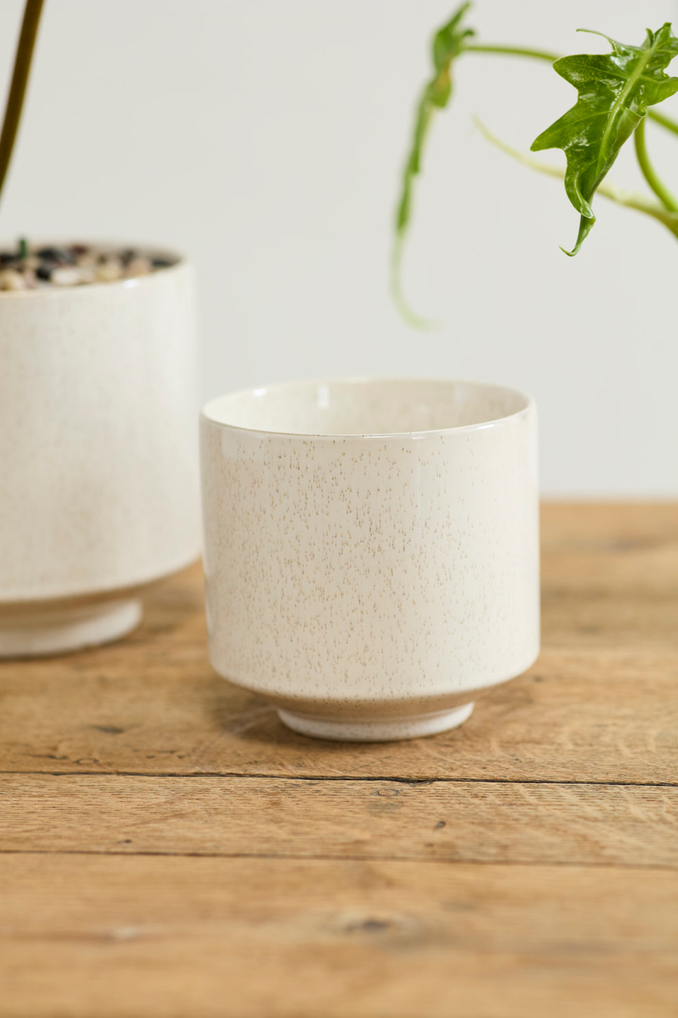 Bello Pot Set of 8 By Accent Decor | Planters, Troughs & Cachepots | Modishstore - 1