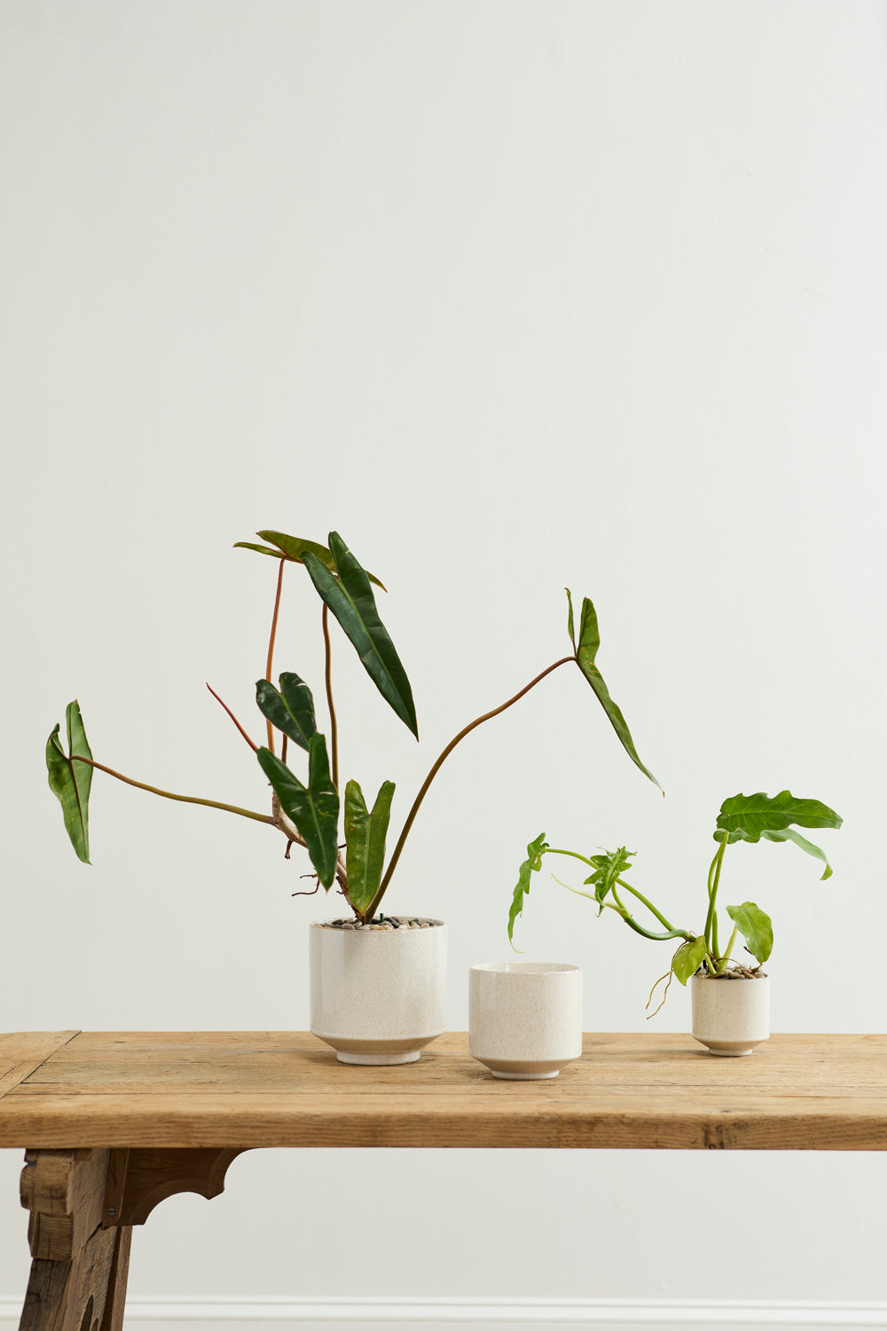 Bello Pot Set of 8 By Accent Decor | Planters, Troughs & Cachepots | Modishstore - 4