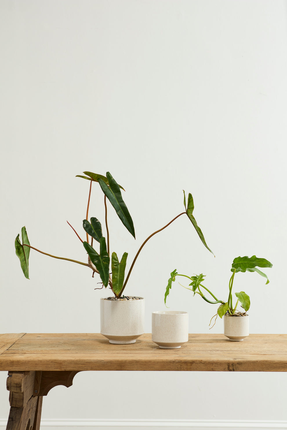 Bello Pot Set of 8 By Accent Decor | Planters, Troughs & Cachepots | Modishstore - 4
