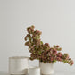 Bello Pot Set of 8 By Accent Decor | Planters, Troughs & Cachepots | Modishstore - 3