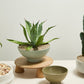 Beltline Bowl with Saucer Set of 4 By Accent Decor | Decorative Bowls | Modishstore - 4