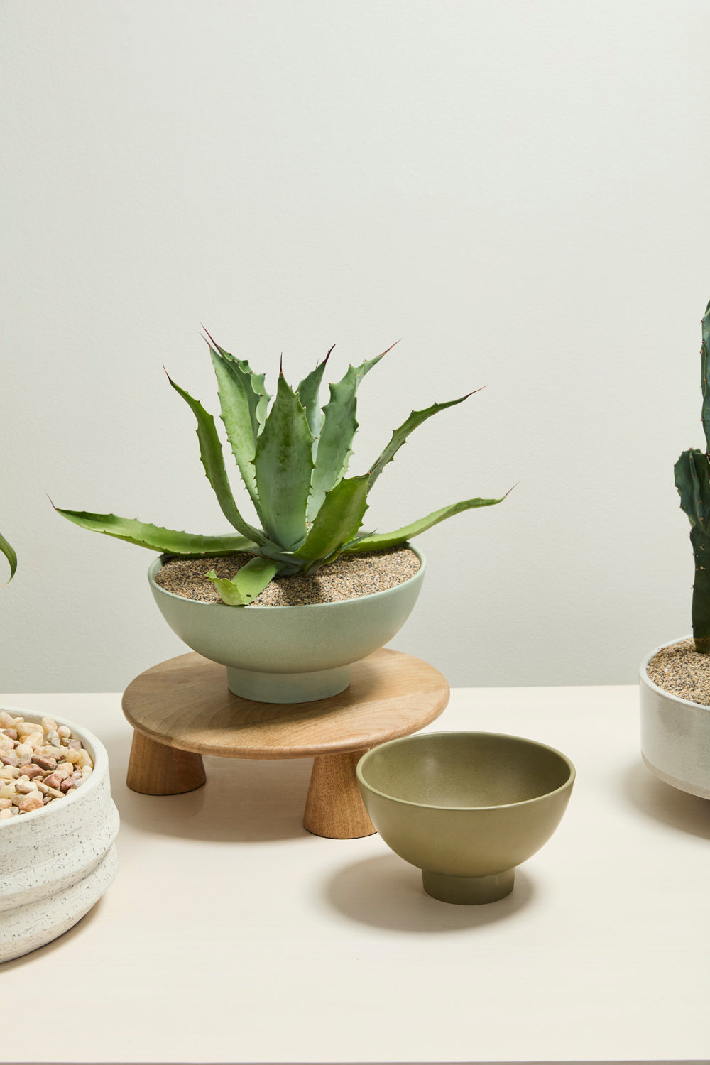 Beltline Bowl with Saucer Set of 4 By Accent Decor | Decorative Bowls | Modishstore - 4