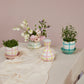 Bertie Collection Set of 4 By Accent Decor | Vases | Modishstore - 3