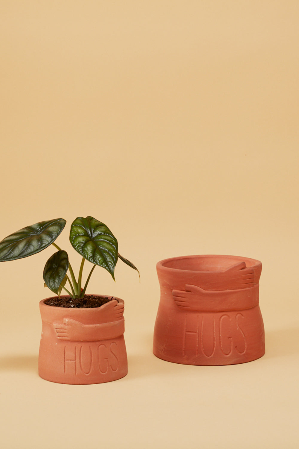 Big Hugs Pot Set of 4 By Accent Decor | Planters, Troughs & Cachepots | Modishstore - 1