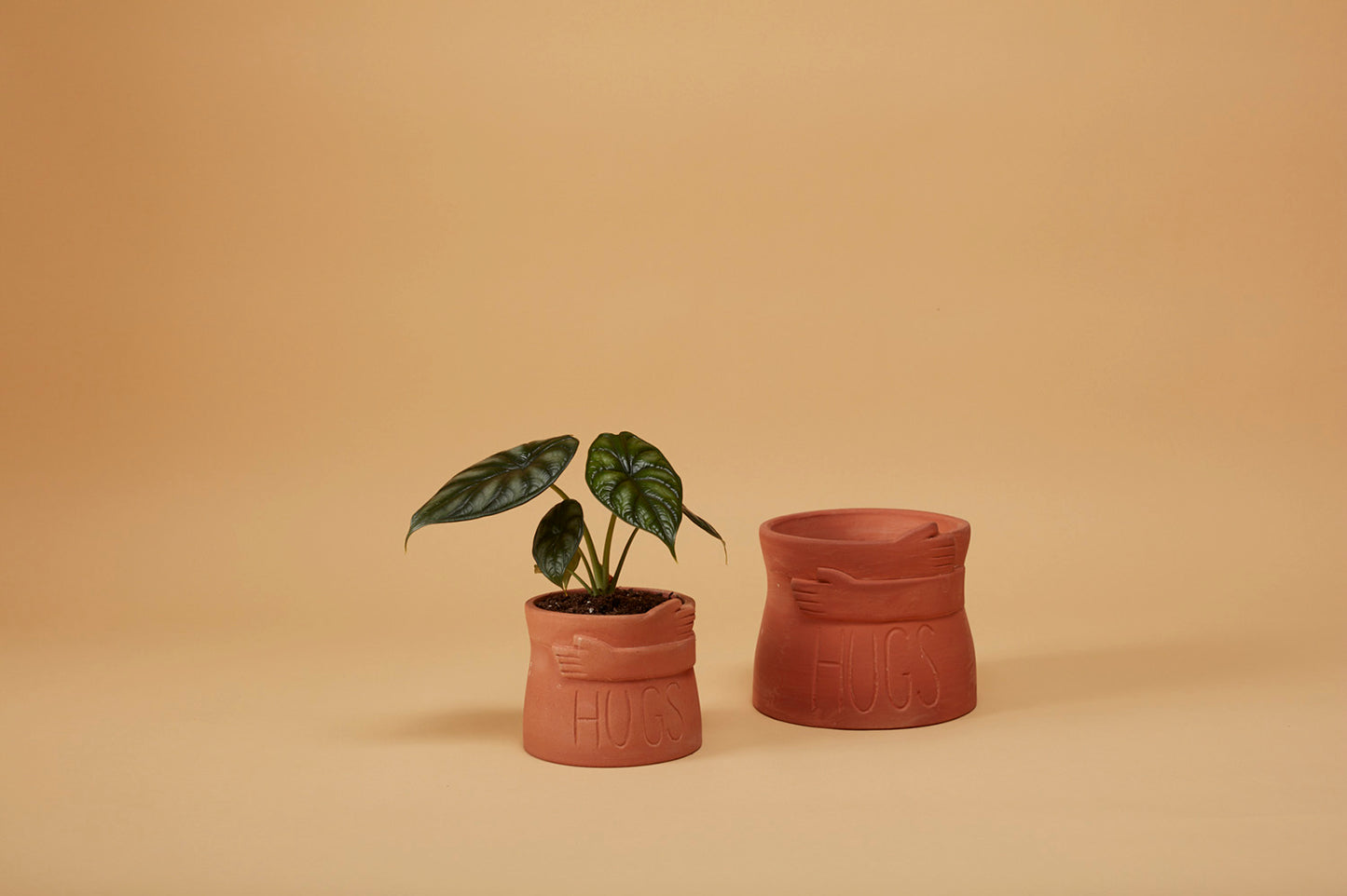 Big Hugs Pot Set of 4 By Accent Decor | Planters, Troughs & Cachepots | Modishstore - 3
