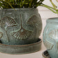 Biloba Pot with Saucer Set of 2 By Accent Decor | Planters, Troughs & Cachepots | Modishstore - 1