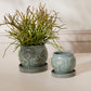 Biloba Pot with Saucer Set of 2 By Accent Decor | Planters, Troughs & Cachepots | Modishstore - 3