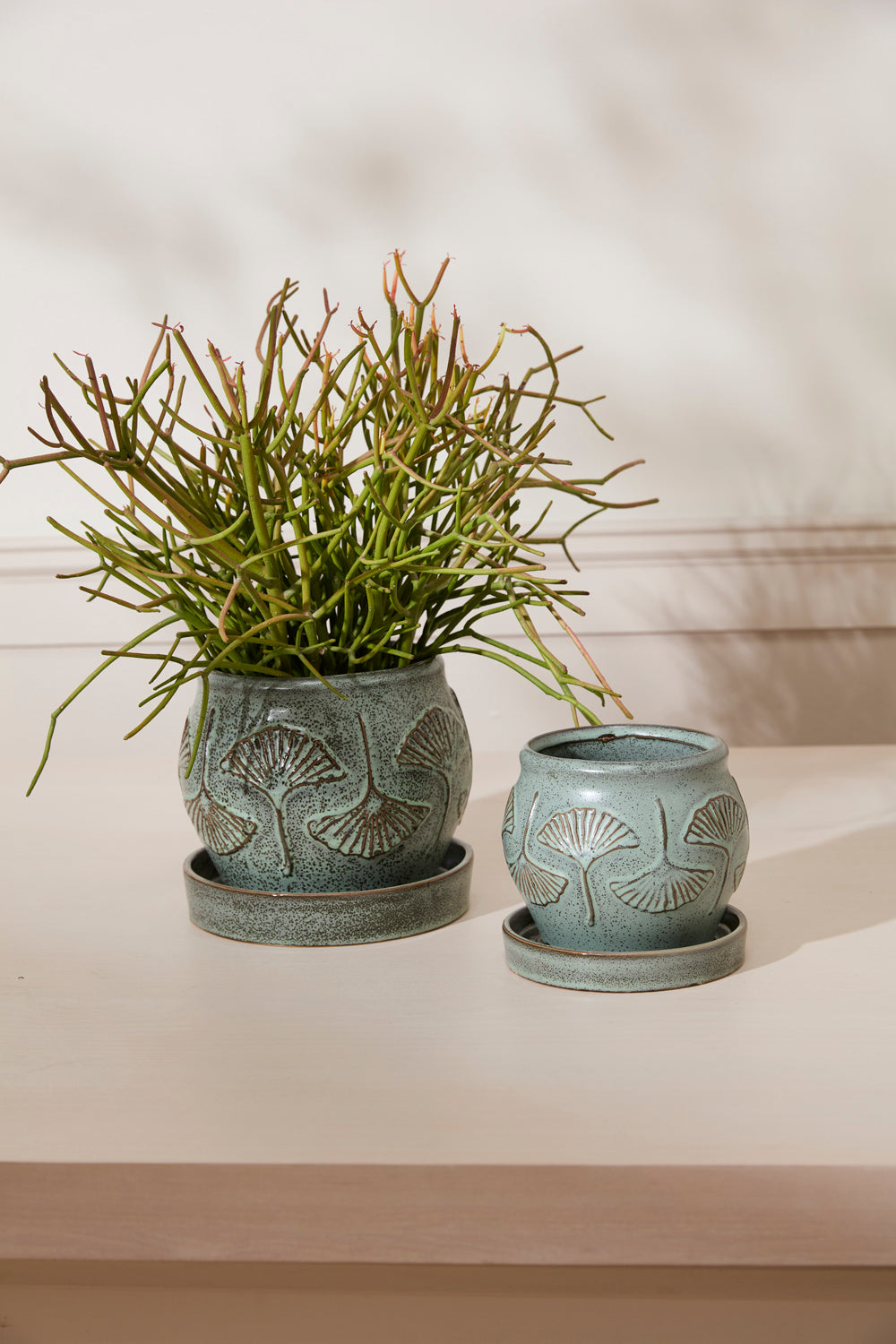 Biloba Pot with Saucer Set of 2 By Accent Decor | Planters, Troughs & Cachepots | Modishstore - 3