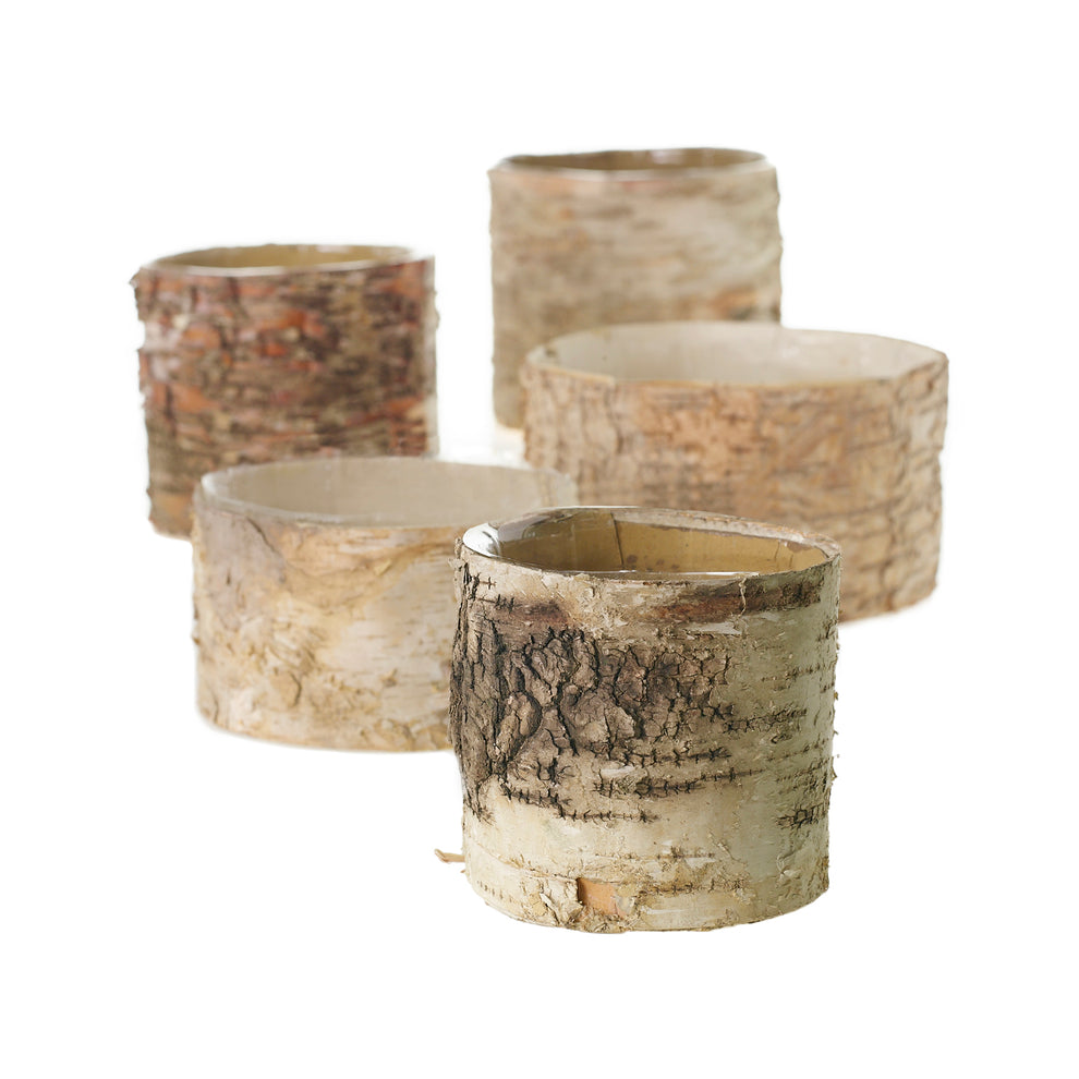 Birch Cylinder Set of 8 By Accent Decor | Vases | Modishstore - 6