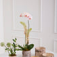 Birch Cylinder Set of 8 By Accent Decor | Vases | Modishstore - 1