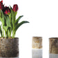 Birch Cylinder Set of 8 By Accent Decor | Vases | Modishstore - 3