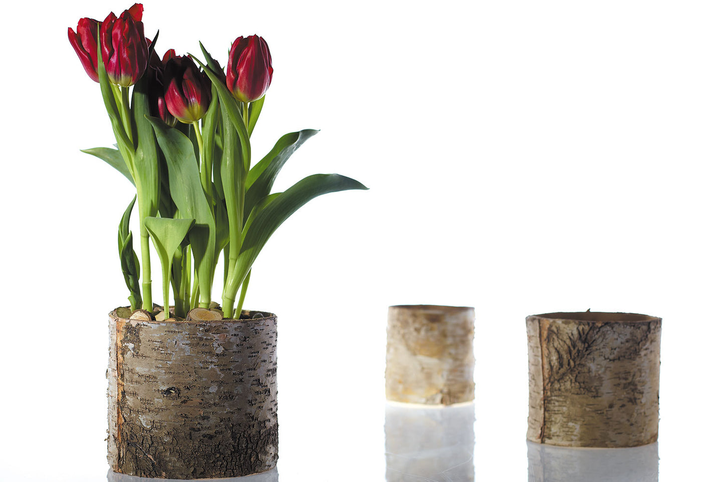 Birch Cylinder Set of 8 By Accent Decor | Vases | Modishstore - 3