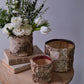 Birch Cylinder Set of 8 By Accent Decor | Vases | Modishstore - 4
