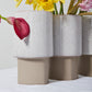 Blakely Collection Sale Set of 4 By Accent DŽcor