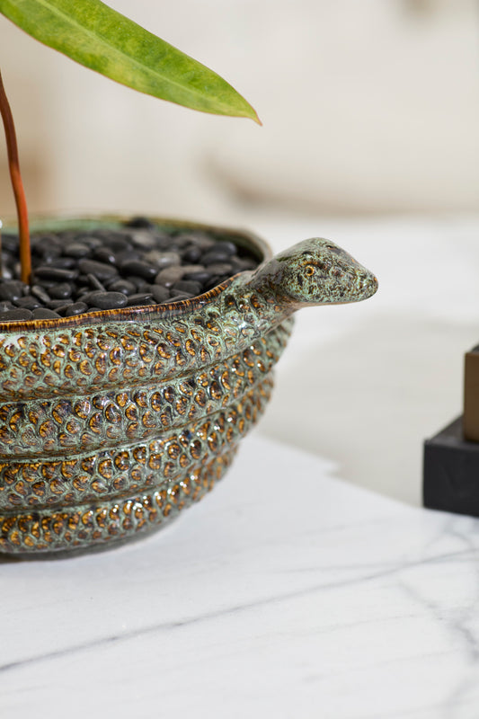 Boa Bowl By Accent Decor | Decorative Bowls | Modishstore - 1