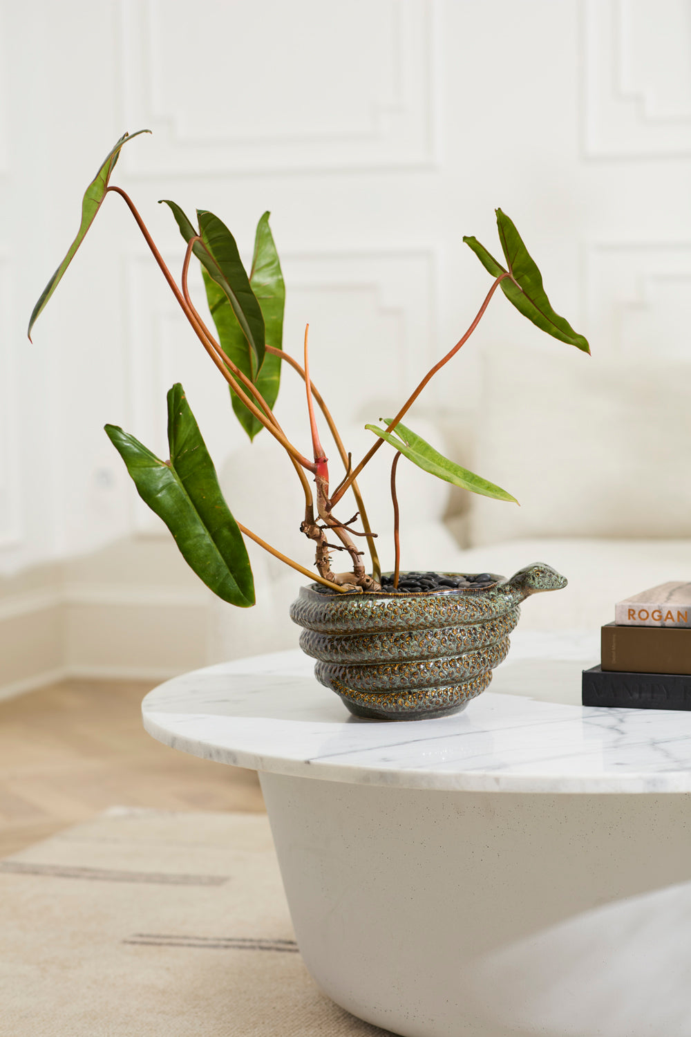 Boa Bowl By Accent Decor | Decorative Bowls | Modishstore - 3