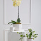 Bona Pot Set of 8 By Accent Decor | Planters, Troughs & Cachepots | Modishstore - 1