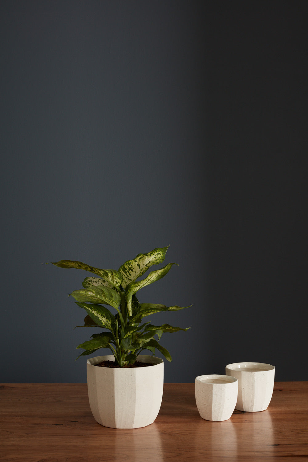 Bona Pot Set of 8 By Accent Decor | Planters, Troughs & Cachepots | Modishstore - 3