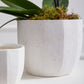 Bona Pot Set of 8 By Accent Decor | Planters, Troughs & Cachepots | Modishstore - 4