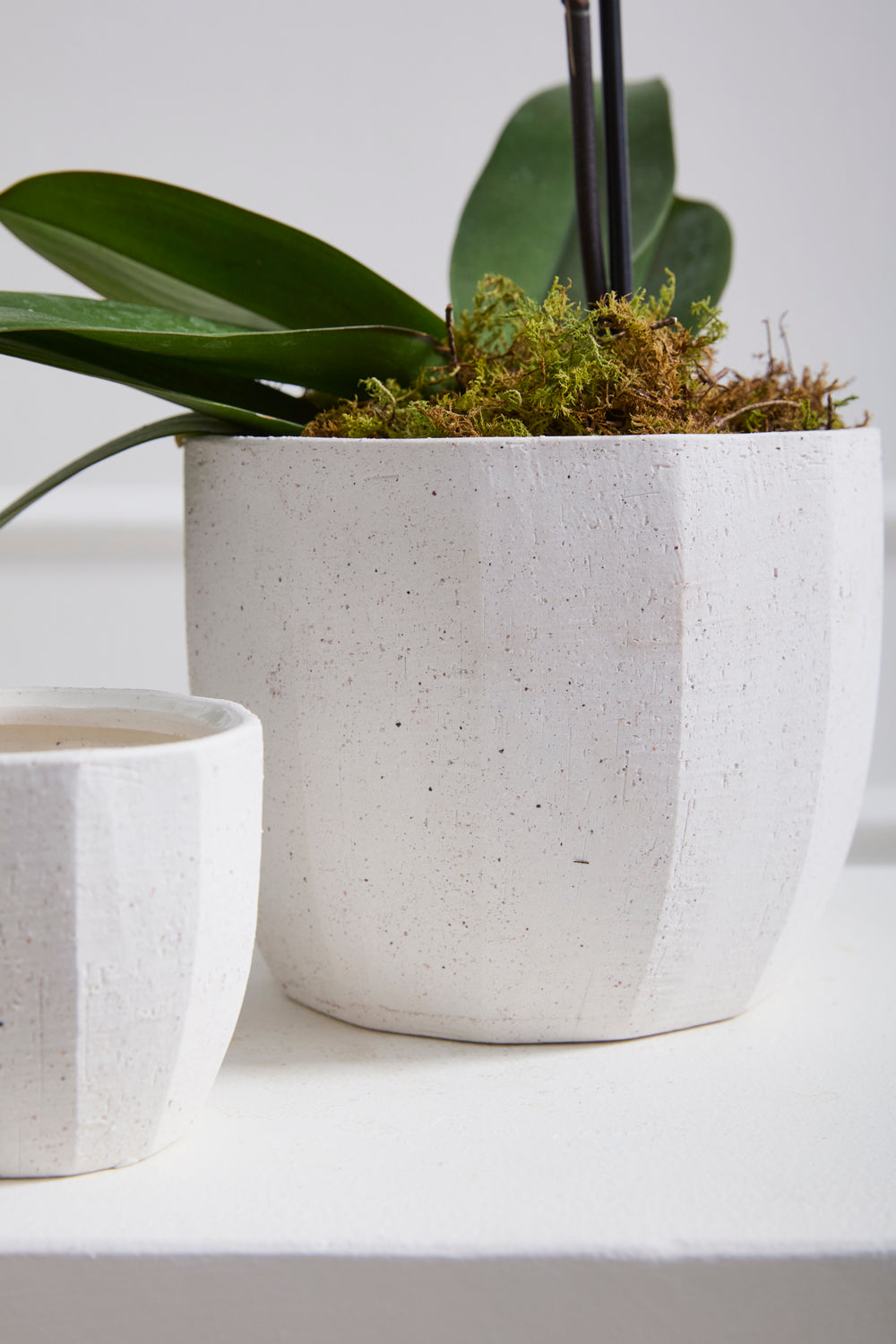 Bona Pot Set of 8 By Accent Decor | Planters, Troughs & Cachepots | Modishstore - 4
