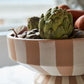 Botera Collection Set of 2 By Accent Decor | Planters, Troughs & Cachepots | Modishstore - 1