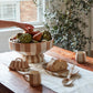 Botera Collection Set of 2 By Accent Decor | Planters, Troughs & Cachepots | Modishstore - 3