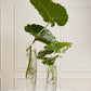 Boundless Vase By Accent Decor | Vases | Modishstore - 4
