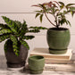 Bradford Pot Set of 8 By Accent Decor | Planters, Troughs & Cachepots | Modishstore - 1