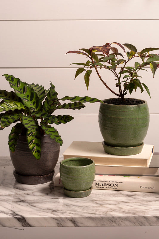 Bradford Pot Set of 8 By Accent Decor | Planters, Troughs & Cachepots | Modishstore - 1