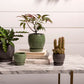 Bradford Pot Set of 8 By Accent Decor | Planters, Troughs & Cachepots | Modishstore - 3