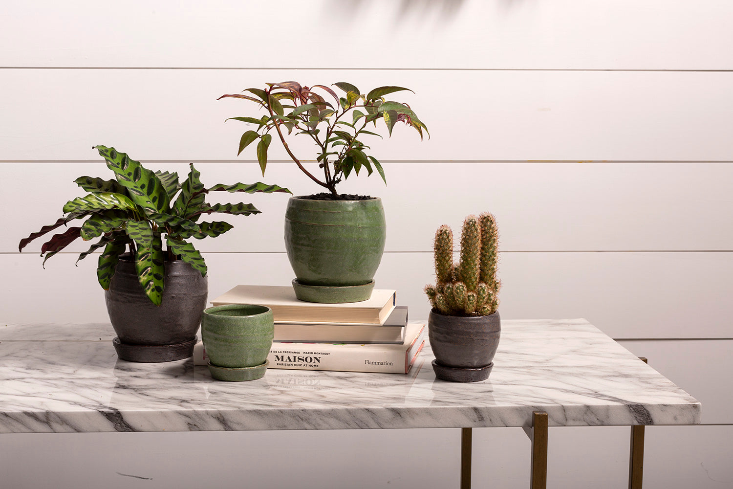 Bradford Pot Set of 8 By Accent Decor | Planters, Troughs & Cachepots | Modishstore - 3