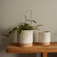 Briar Pot Set of 4 By Accent Decor | Planters, Troughs & Cachepots | Modishstore - 1