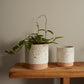 Briar Pot Set of 4 By Accent Decor | Planters, Troughs & Cachepots | Modishstore - 3