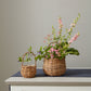 Briarwood Basket Set of 8 By Accent DŽcor