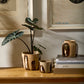 Bronze Brushstroke Collection Set of 8 By Accent Decor | Stands | Modishstore - 3