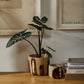 Bronze Brushstroke Collection Set of 8 By Accent Decor | Stands | Modishstore - 4