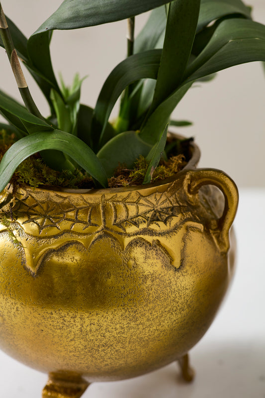 Bubbling Cauldron By Accent Decor | Planters, Troughs & Cachepots | Modishstore - 1